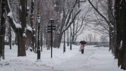 Снова -10 градусов. Когда в Киеве ожидается самый сильный холод в ближайшие дни?