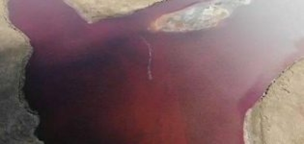 «Норникель» недоплатил 30 миллиардов налогов в ФНС после экологической аварии